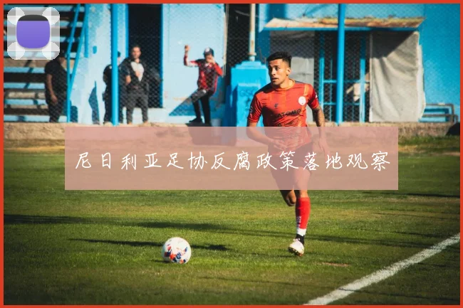 尼日利亚足协反腐政策落地观察