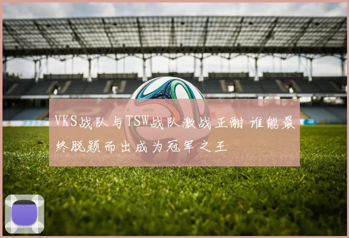 VKS战队与TSW战队激战正酣 谁能最终脱颖而出成为冠军之王