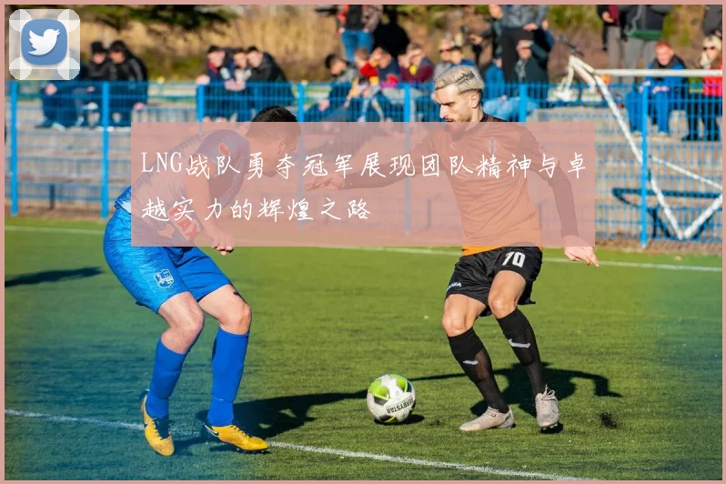 LNG战队勇夺冠军展现团队精神与卓越实力的辉煌之路