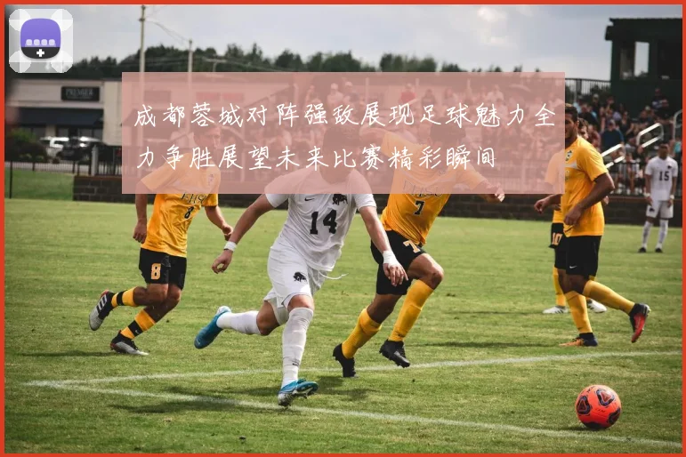 成都蓉城对阵强敌展现足球魅力全力争胜展望未来比赛精彩瞬间