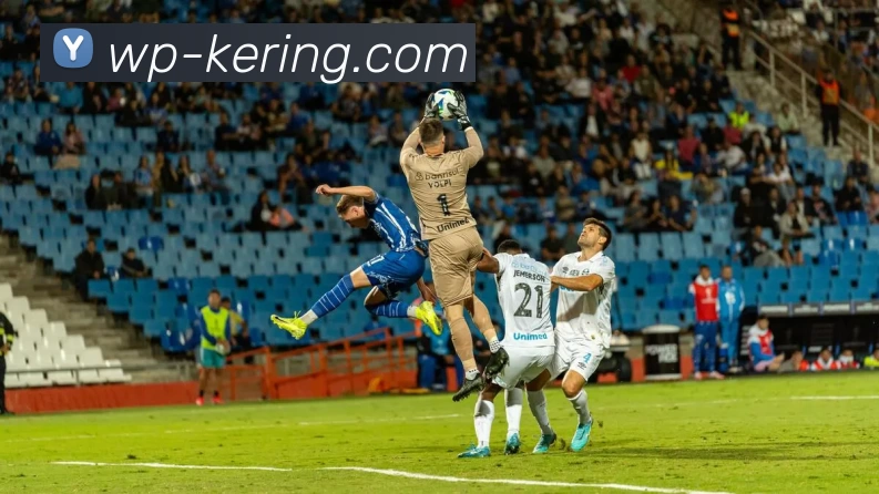 开云平台生态图